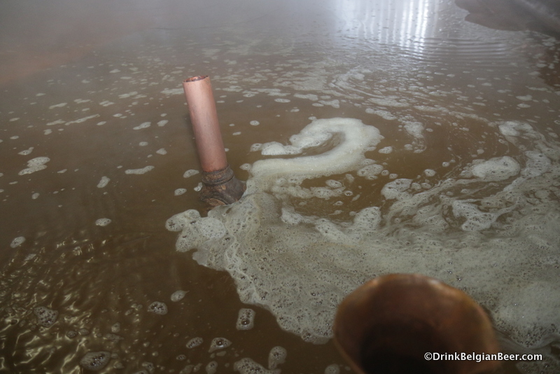 Wort in the coolship, Timmermans. 