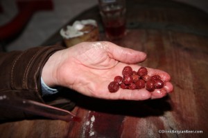Photo of whole cherries from a barrel.