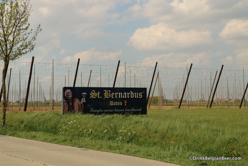 The St. Bernardus sign and their hop field beside the brewery.