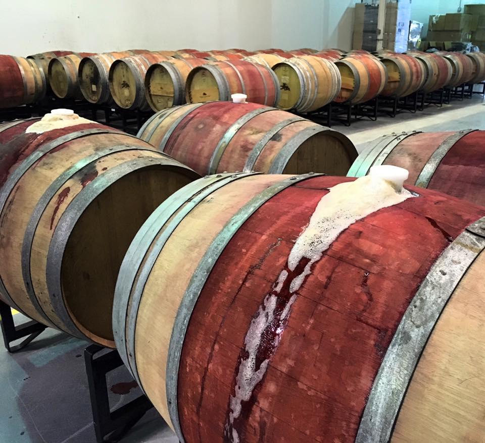 Barrels undergoing active fermentation at The Veil's off-site maturation facility, just three days after being filled. 