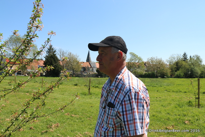 Armand Debelder checking out a Schaarbeekse cheery tree in a field behind the new facility.