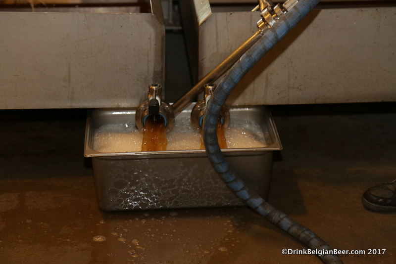 Cooled wort being pumped out of the coolship at 3 Fonteinen, the morning after a brew day. 