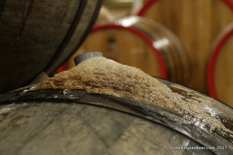 Active fermentation in a 3 Fonteinen barrel. 