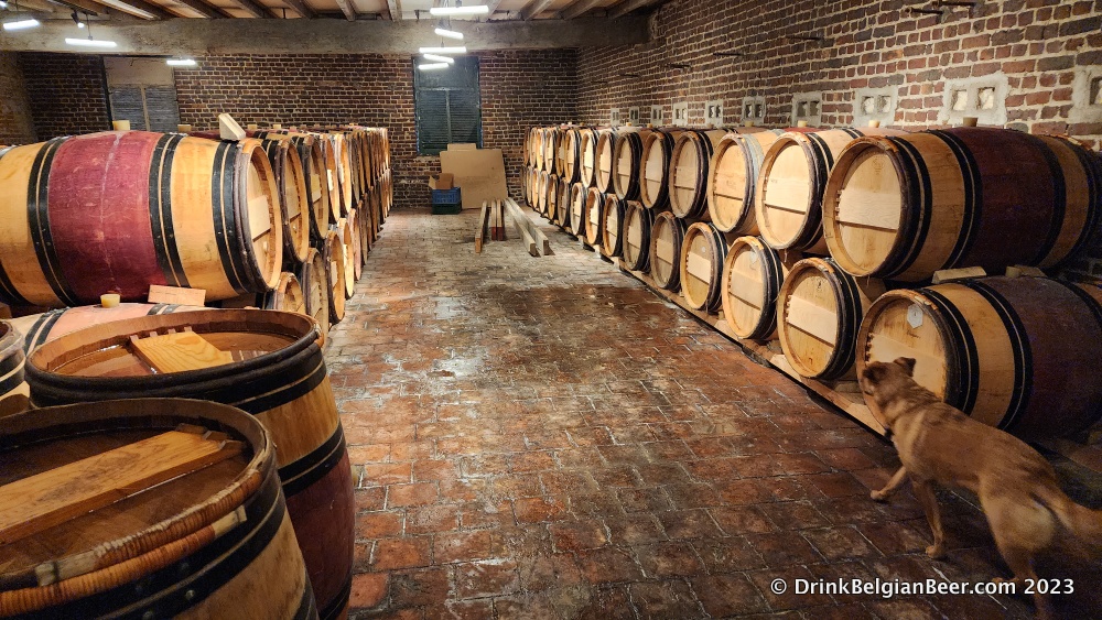 Rows of barrels inside the barrel-aging space at Brouwerij Kestemont, Schepdaal, Belgium.
